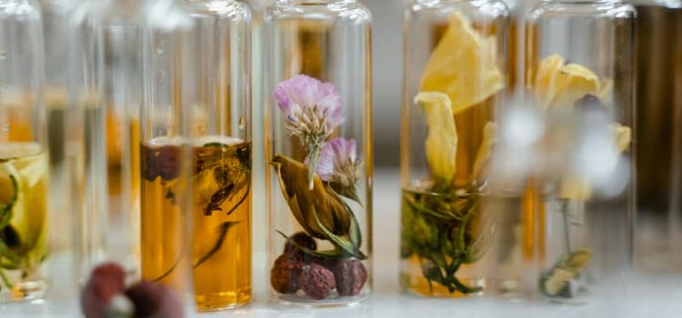Everything You Need to Know About Massage Essential Oils: Benefits, Uses & Choosing the Right One